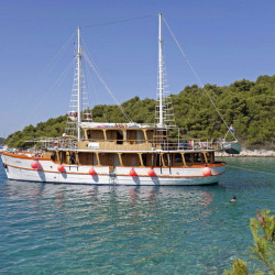 Dalmatino 13 cabins 26 pax Zadar 11