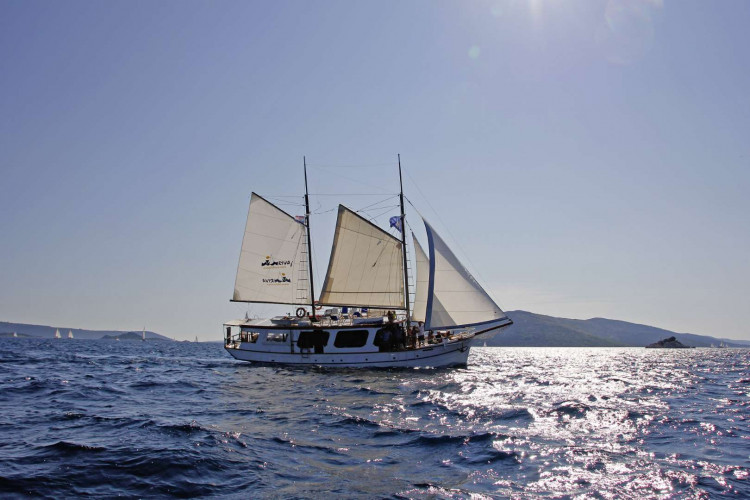 Pravedan 7 cabins 14 pax Trogir 8