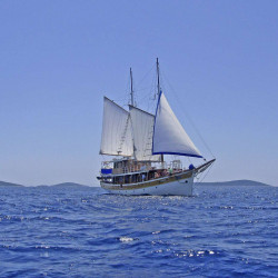 Sagena 8 cabins 18 pax Zadar 11