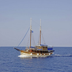 Sagena 8 cabins 18 pax Zadar 4